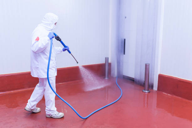 Reliable West Hill, OH Pressure Washing Services Solutions